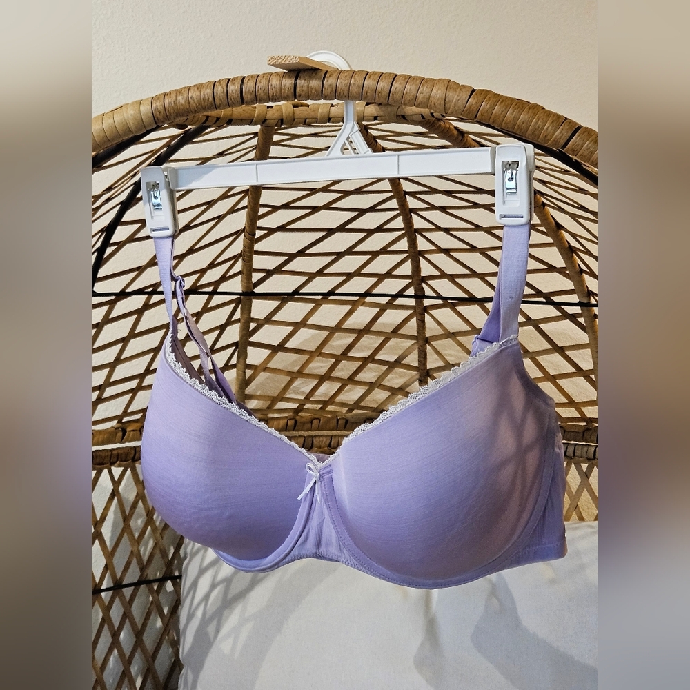 Voglio Gisella Bra